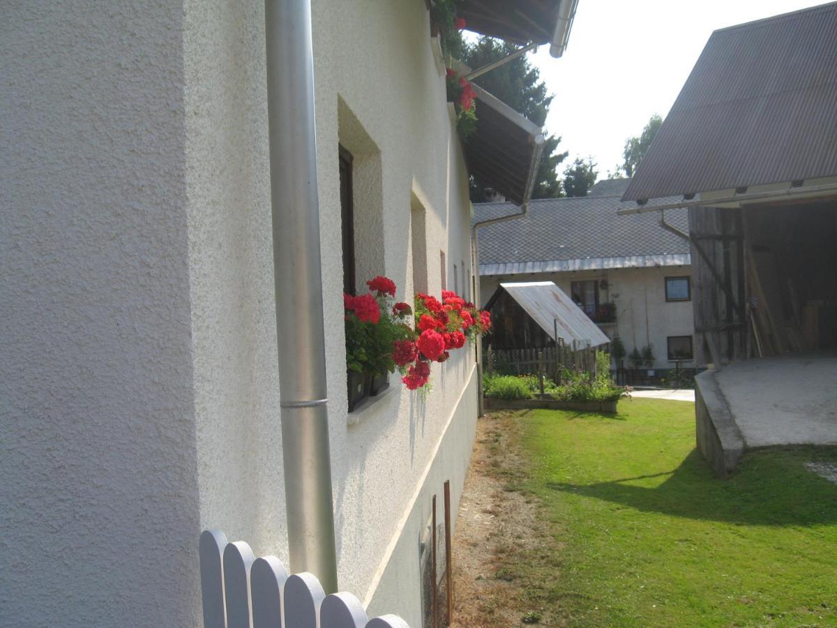 Apartma Tilika Kranjska Gora Εξωτερικό φωτογραφία